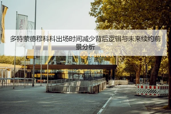 多特蒙德穆科科出场时间减少背后逻辑与未来续约前景分析